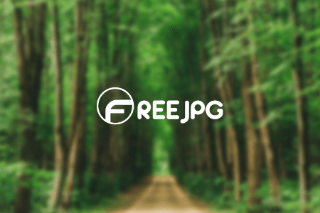 Reseña de FreeJPG Stock {{%year}} : Acceso a miles de Imágenes