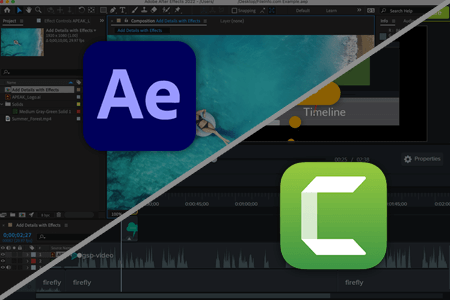 After Effects vs Camtasia: What Software to Choose