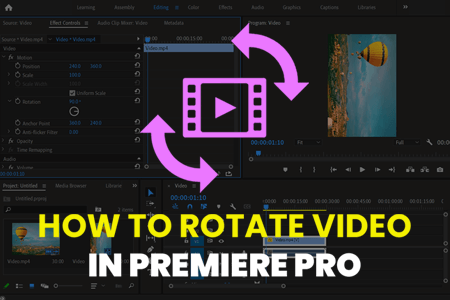 How to Rotate Video in Premiere Pro: 2 Quick Ways