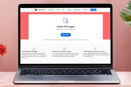 How to Delete PDF Pages in Adobe Acrobat: 2 Methods