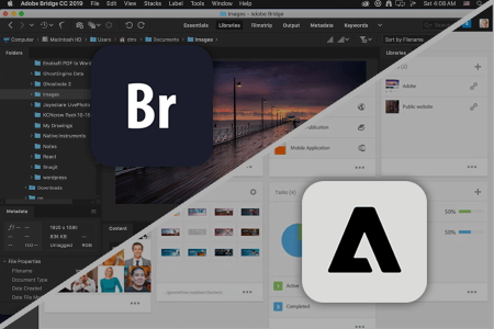 Adobe Bridge vs Adobe Experience Manager: Differences & Benefits