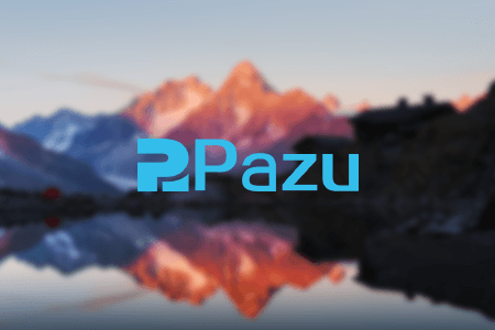 Pazu Tidal Music Converter Review {{%year}}: Pros & Cons