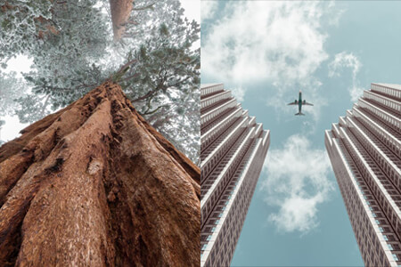 15 Worms Eye View Photo Tips for Beginners + Bonus Tools