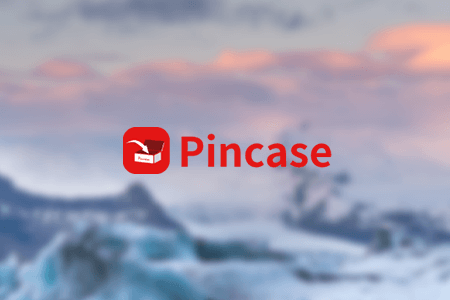 Pincase Free Pinterest Video Downloader Review: Pros & Cons
