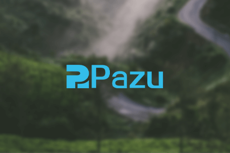 Pazu Disney+ Video Downloader Review {{%year}}: Pros & Cons