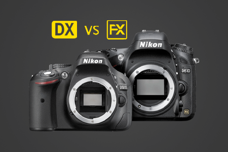 Nikon DX vs FX: Which Sensor Creates Better Photos