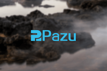 Pazu Hulu Video Downloader Review: Pros & Cons