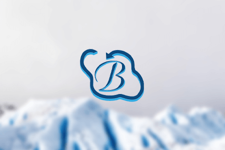 Bhavitra Technologies Review {{%year}}: Solutions to Improve Your Business