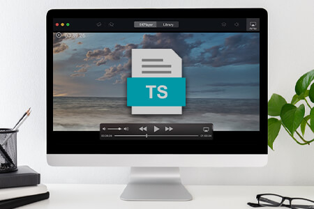 TS File: Detailed Review {{%year}}