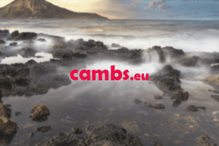 Cambs Web Design Agency Review {{%year}}: Pros & Cons