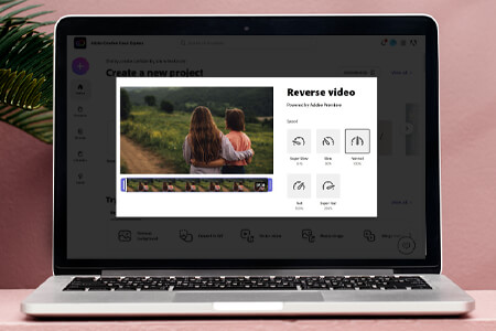 How to Reverse a Video in Adobe CC Express in 4 Easy Steps