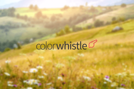 ColorWhistle Company Review: Pros & Cons