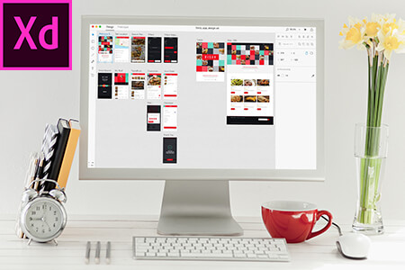 วิธี ดาวน์โหลด Adobe XD ฟรีอย่างถูกกฎหมาย 