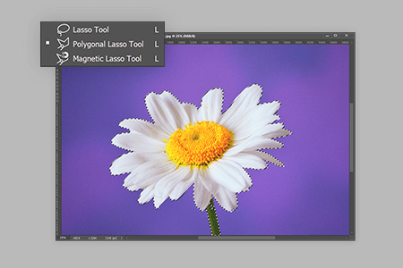 How to Use Photoshop Lasso Tool for Quick Selections