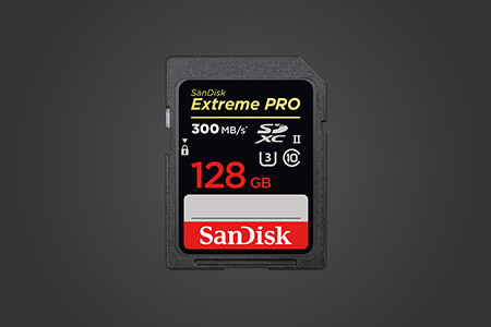 11 Best SD Cards for DSLR in {{%year}}