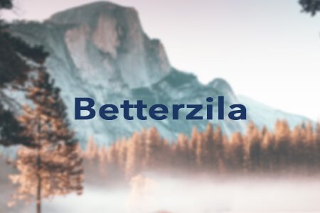 Betterzila Link Building Platform Review: Pros & Cons