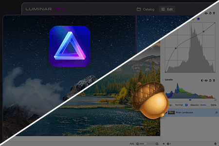 Luminar NEO vs Acorn: Features & Advantages