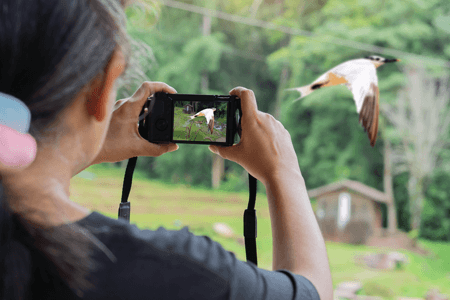 10 Best Bird Photography Camera for Sharp Images in {{%year}}