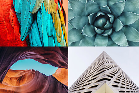 Form in Photography: Definition & How to Find