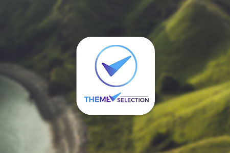 ThemeSelection Admin Templates Review {{%year}}: Pros & Cons