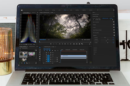 Create a Vignette in Premier Pro: Guide for Beginners