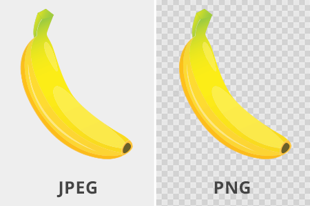 What’s The Difference Between Jpeg And Png: Beginner Guide