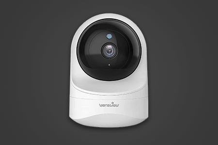 9 Best Pet Cameras in {{%year}}