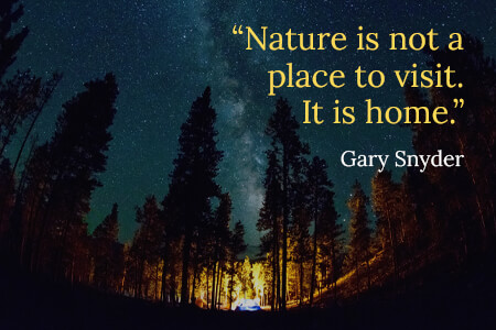 Unique Nature Photography Quotes And Captions