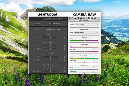 How to Get Accurate Canon Colors in Lightroom: 7-Steps Tutorial