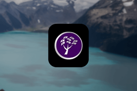 High Paying Affiliate Programs Review {{%year}}: Pros & Cons