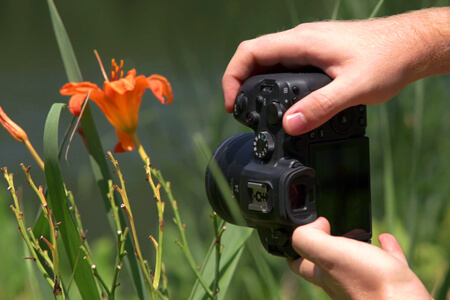 10 Best Macro Lenses for Canon to Capture Details