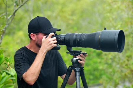 6 Must-Have Nikon Wildlife Lenses of {{%year}}