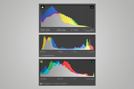Histogram on Camera: Easy Guide for Beginners