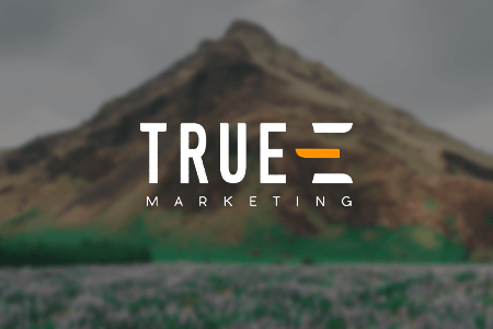 True-E Marketing {{%year}}评论：优点和缺点