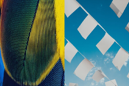 How to Capture Photography Details: Beginner’s Guide