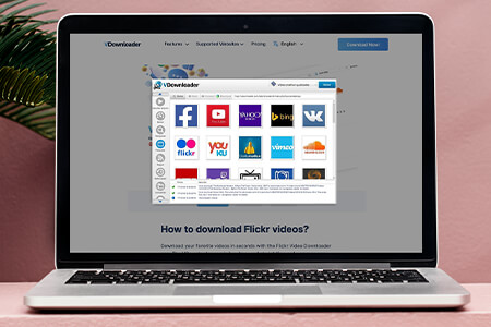 How to Download Flickr Videos: Step-By-Step Tutorial {{%year}}