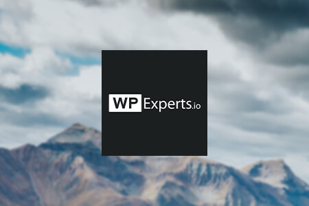 WPExperts Review {{%year}}: Benefits for Partners