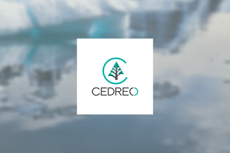 Cedreo Review {{%year}}: Pros & Cons