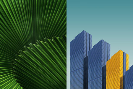 How to Use Geometry in Photography: Tips & Examples