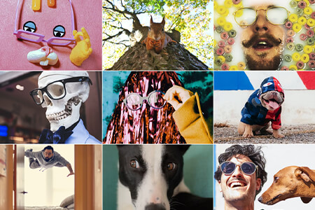 20 Funny Photography Memes for Lifting Your Spirit