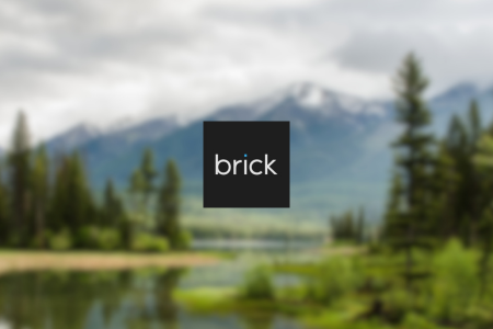 Brick Visual Review {{%year}}: Pros & Cons