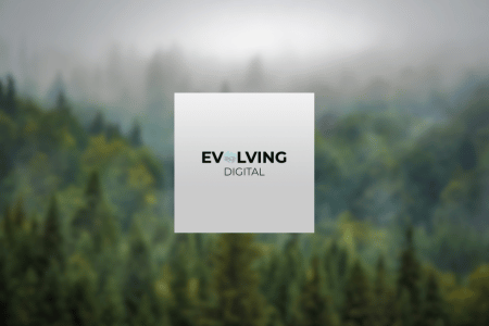 Evolving Digital Review {{%year}}: Options & Services