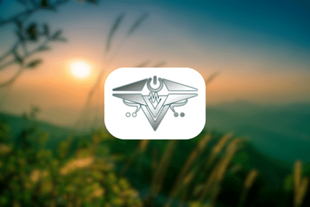 Nexus IT Review {{%year}}: Services & Opportunities