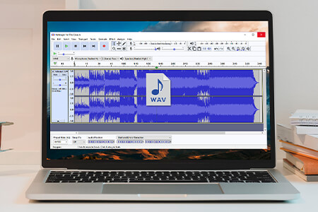 WAV File: What Is It and How to Open?