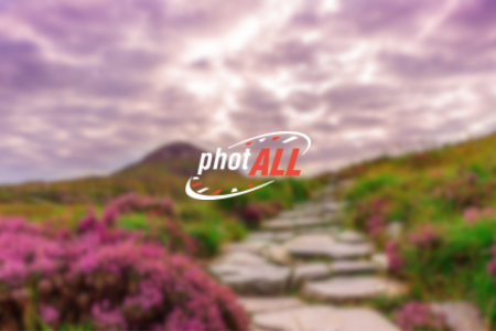 PhotALL Review {{%year}}: Benefits & Hidden Minuses