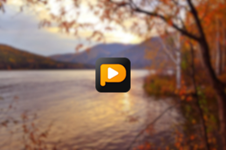 PPTube Review {{%year}}: Pros & Cons