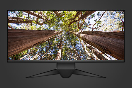 10 Best IPS Monitors in 2020