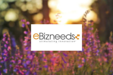 eBizneeds Review {{%year}}: Details & Pricing