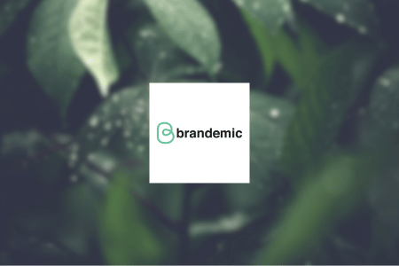 Brandemic Review {{%year}}: Services & Options