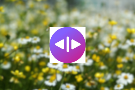 Dubverse Review {{%year}}: Relax and Let AI Do the Work